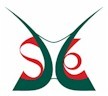 skinney-logo