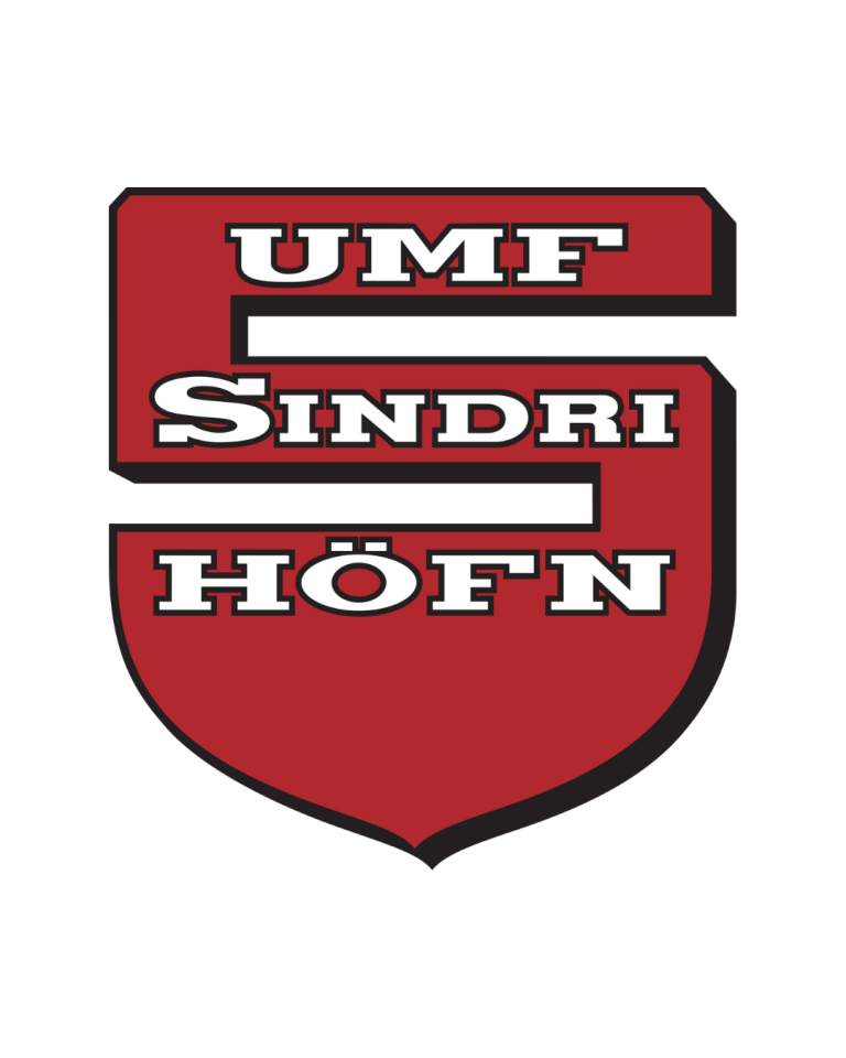 Read more about the article Yfirlýsing aðalstjórnar Sindra