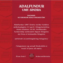 Aðalfundur UMF. Sindra
