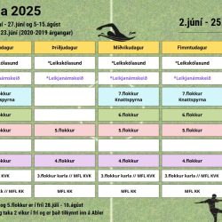 Sumarstundatafla 2025