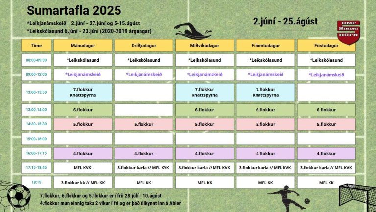 Read more about the article Sumarstundatafla 2025